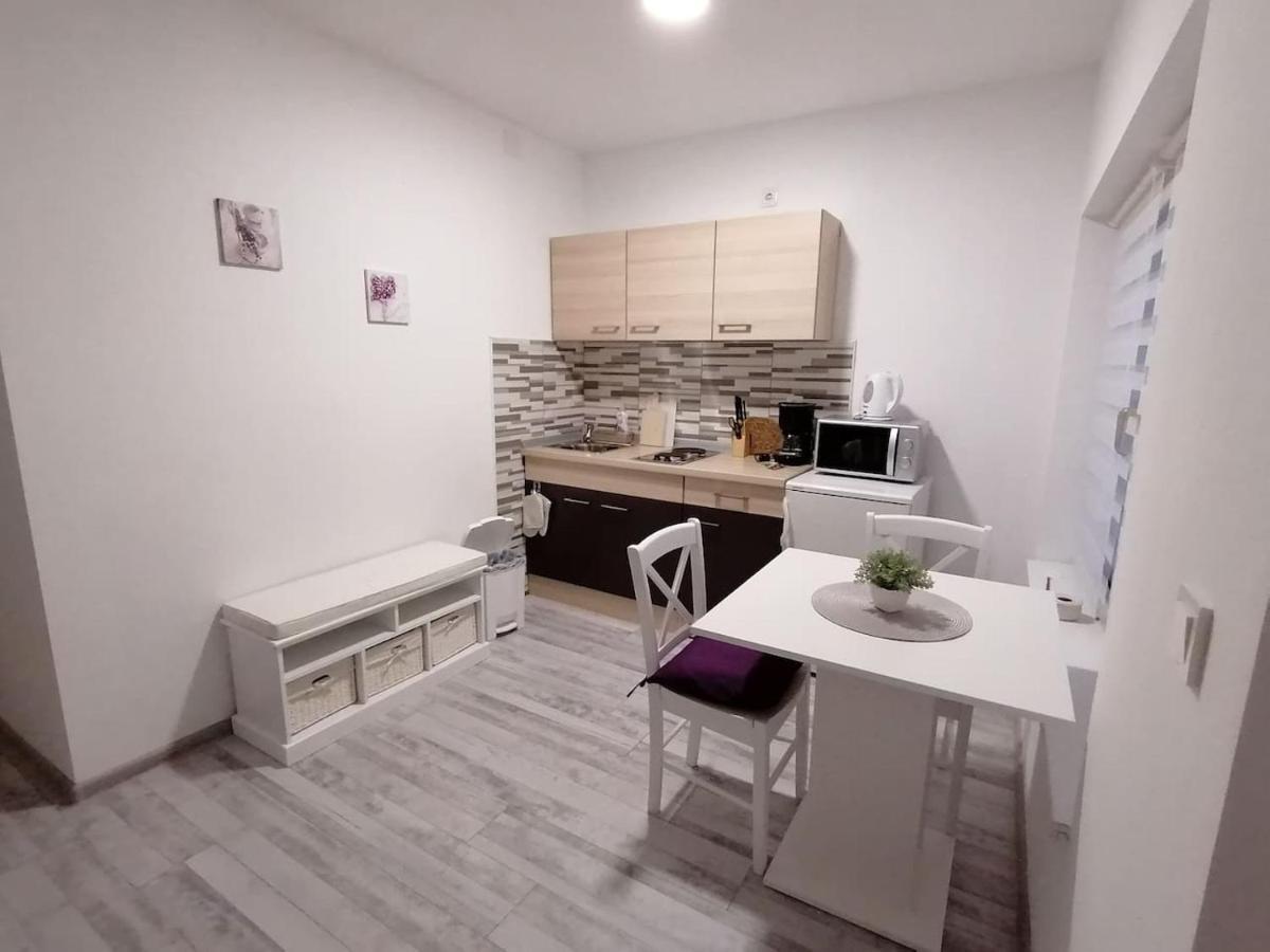 Apartman Lidija Dinjiška Eksteriør billede