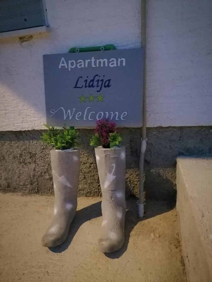 Apartman Lidija Dinjiška Eksteriør billede